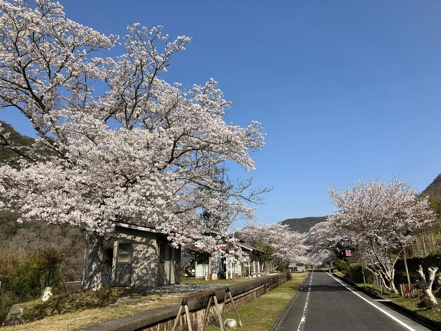 定休日、普段走るときには、ほとんど写真を撮ることもない小生で...