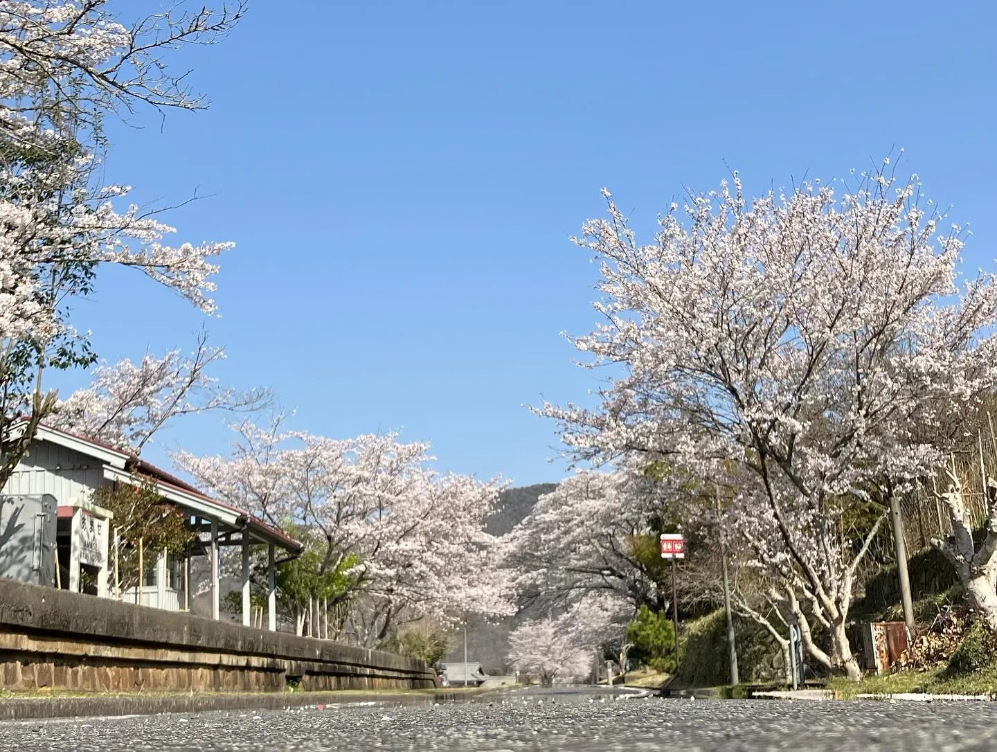 定休日、普段走るときには、ほとんど写真を撮ることもない小生で...