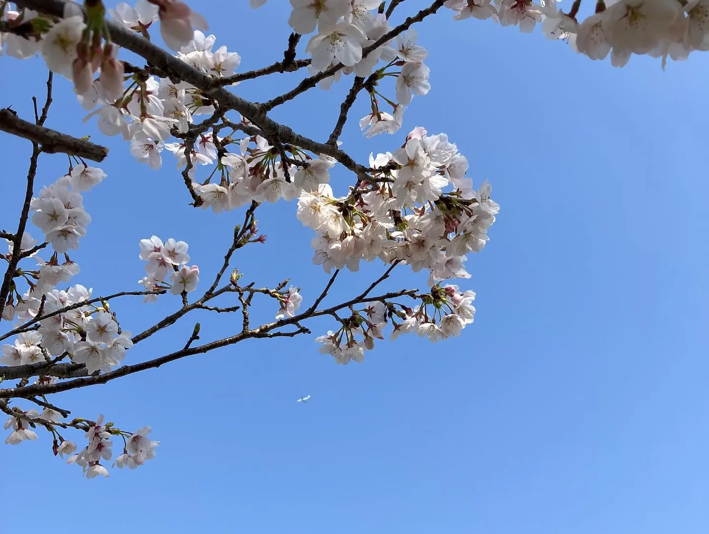 定休日、普段走るときには、ほとんど写真を撮ることもない小生で...