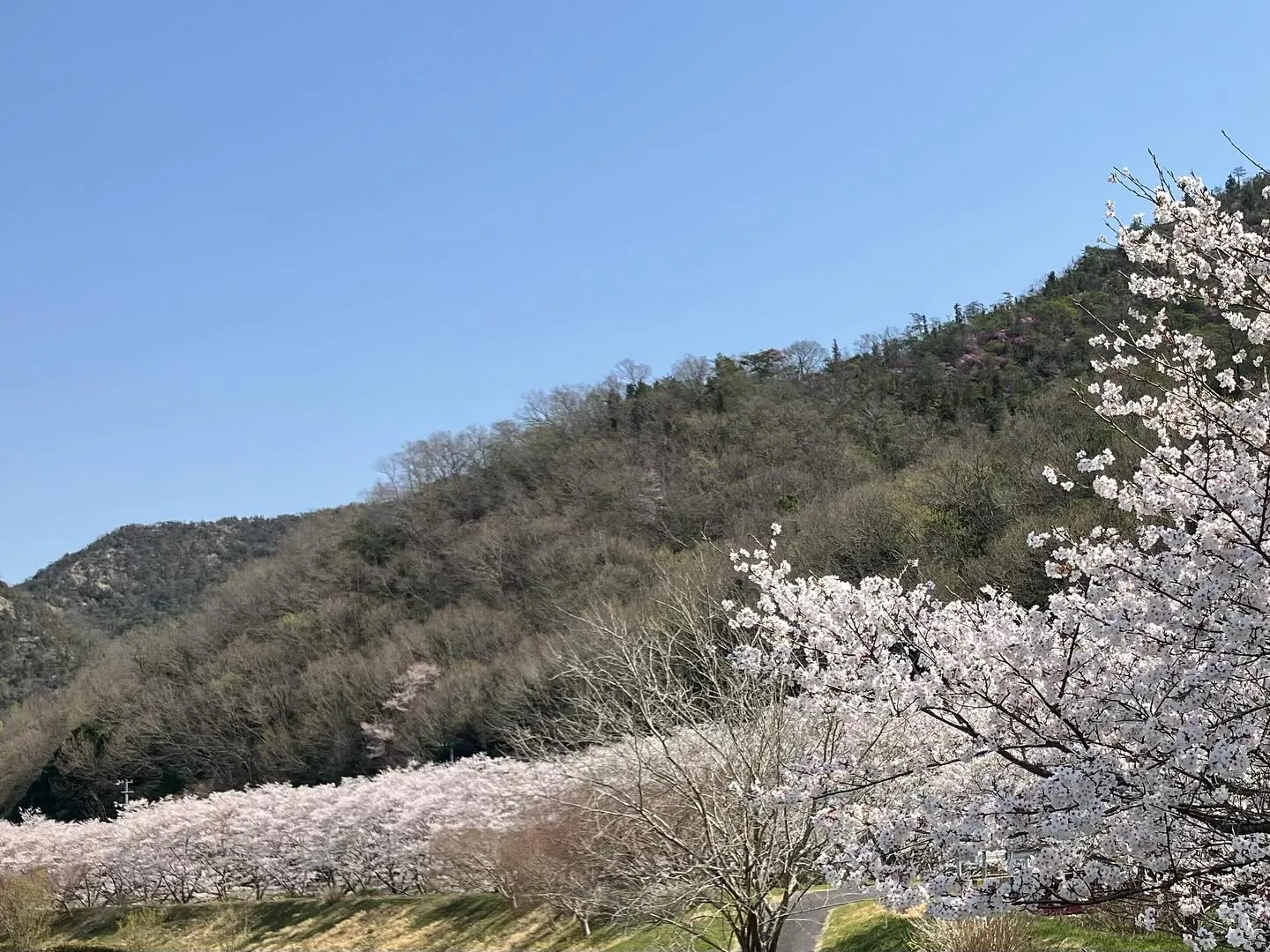 定休日、普段走るときには、ほとんど写真を撮ることもない小生で...