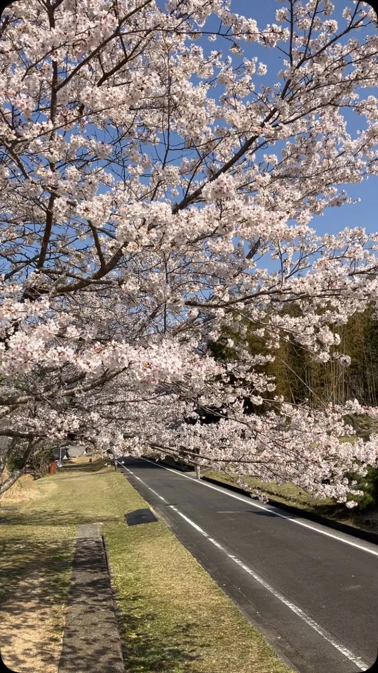 ウグイスの声も聴こえてました😌